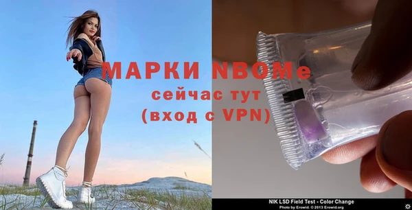 ПСИЛОЦИБИНОВЫЕ ГРИБЫ Вязьма